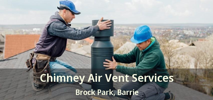Chimney Air Vent Services Brock Park, Barrie - ON