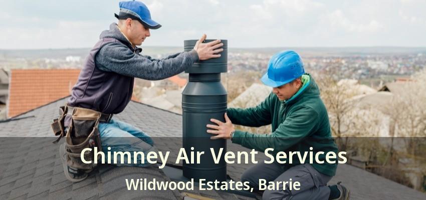 Chimney Air Vent Services Wildwood Estates, Barrie - ON