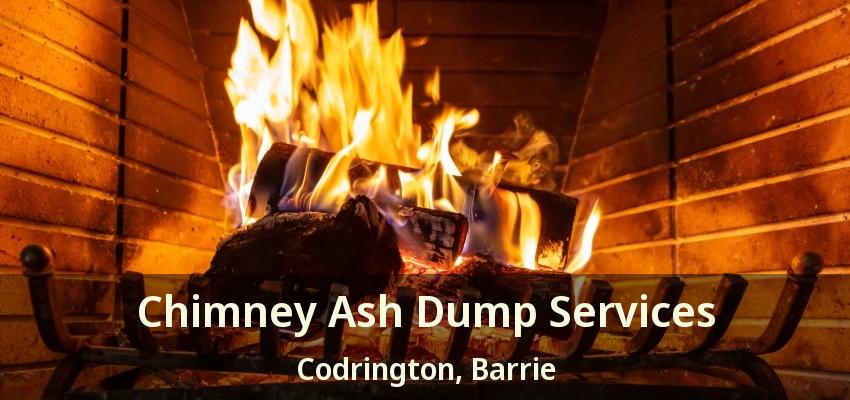Chimney Ash Dump Services Codrington, Barrie - ON