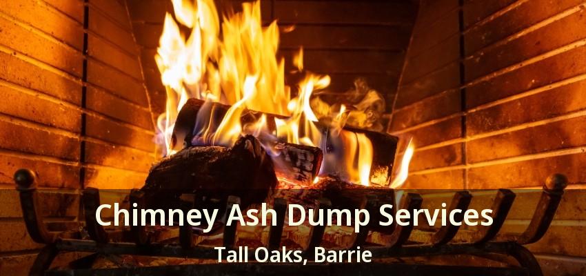 Chimney Ash Dump Services Tall Oaks, Barrie - ON