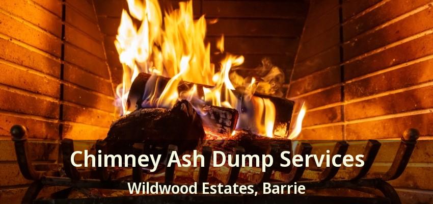 Chimney Ash Dump Services Wildwood Estates, Barrie - ON