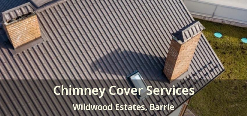 Chimney Cover Services Wildwood Estates, Barrie - ON