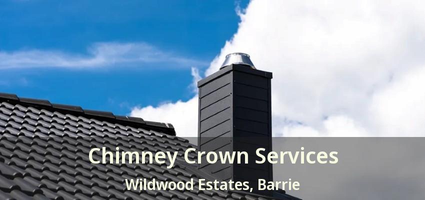 Chimney Crown Services Wildwood Estates, Barrie - ON