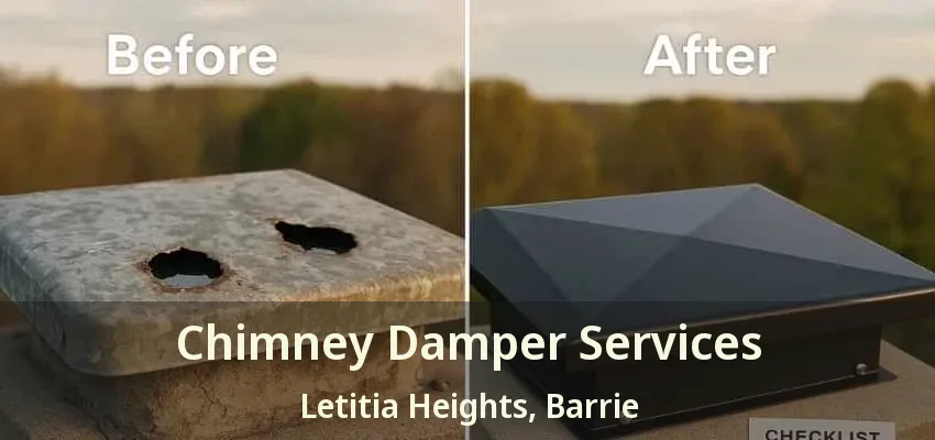 Chimney Damper Services Letitia Heights, Barrie - ON