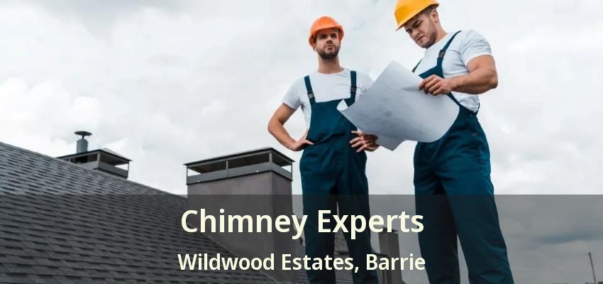 Chimney Experts Wildwood Estates, Barrie - ON