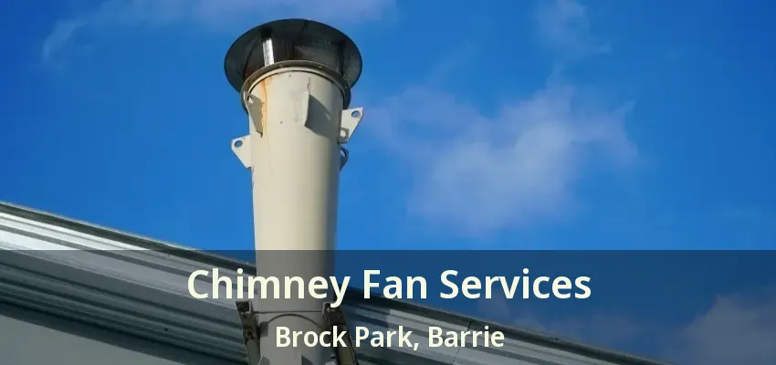 Chimney Fan Services Brock Park, Barrie - ON