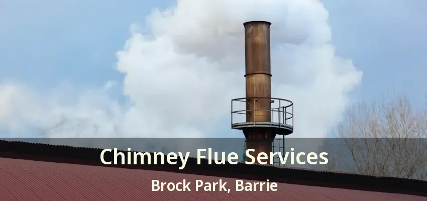 Chimney Flue Services Brock Park, Barrie - ON
