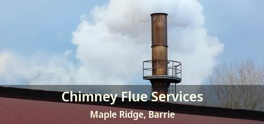 Chimney Flue Services Maple Ridge, Barrie - ON