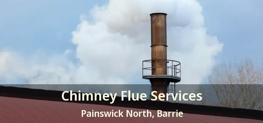 Chimney Flue Services Painswick North, Barrie - ON