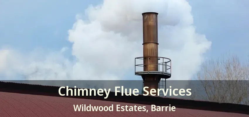 Chimney Flue Services Wildwood Estates, Barrie - ON