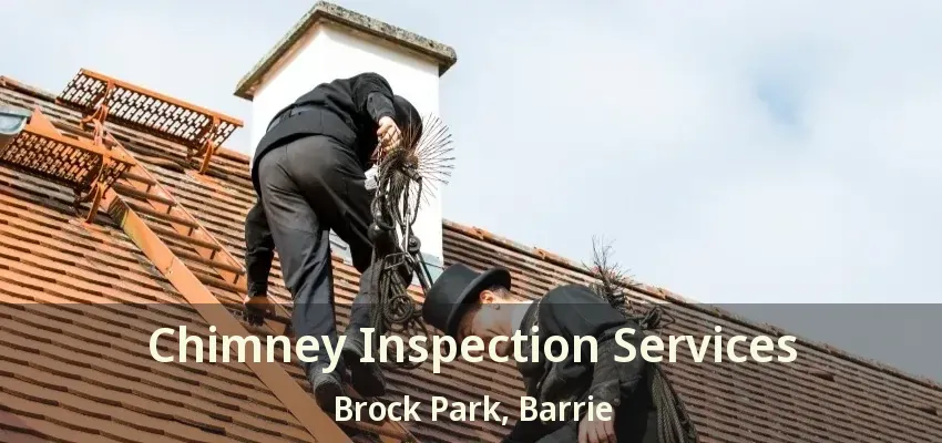 Chimney Inspection Services Brock Park, Barrie - ON