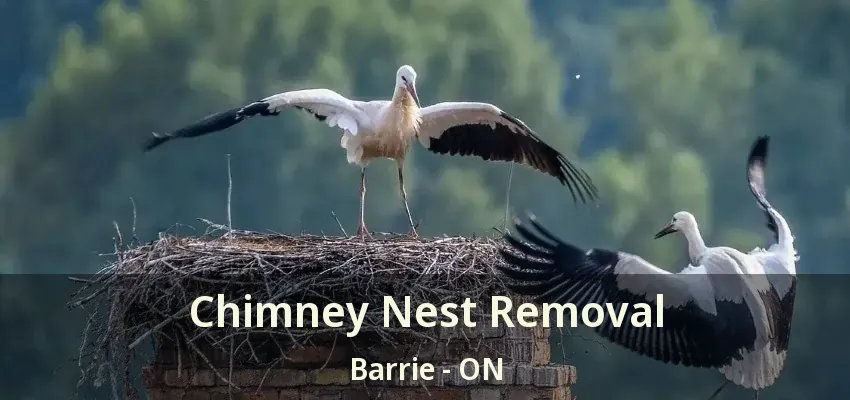 Chimney Nest Removal Barrie - ON