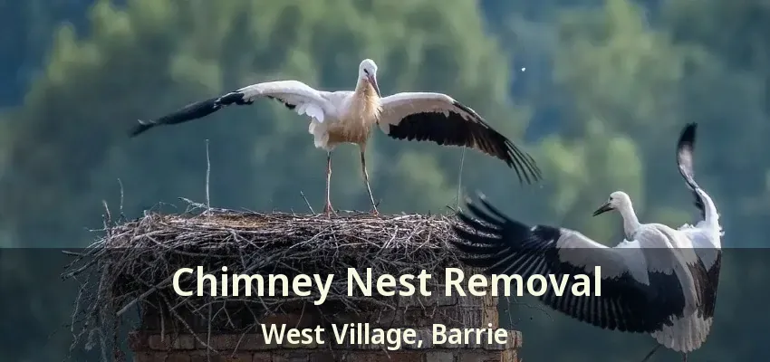 Chimney Nest Removal West Village, Barrie - ON