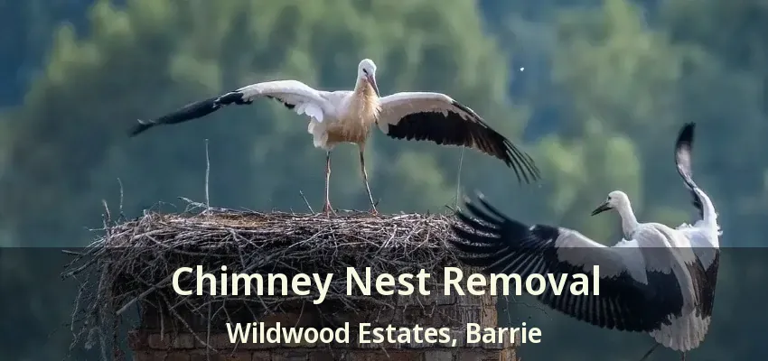 Chimney Nest Removal Wildwood Estates, Barrie - ON