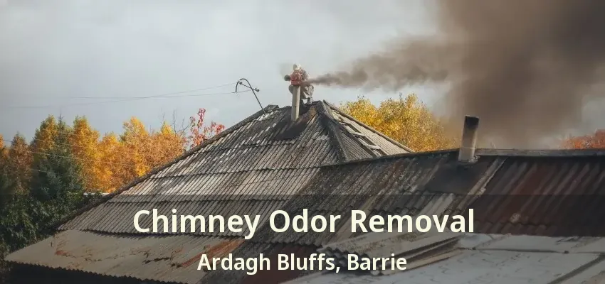 Chimney Odor Removal Ardagh Bluffs, Barrie - ON