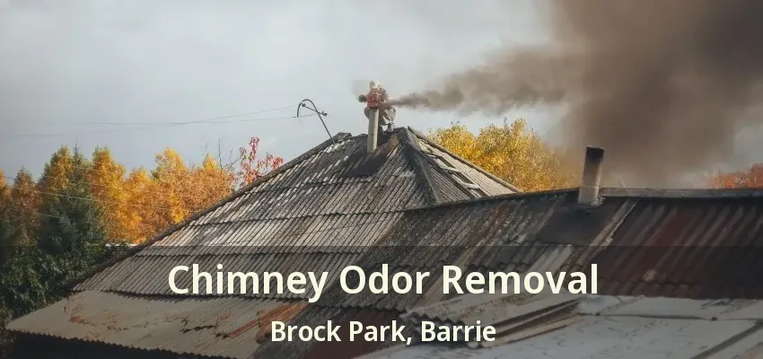 Chimney Odor Removal Brock Park, Barrie - ON