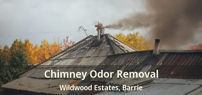 Chimney Odor Removal Wildwood Estates, Barrie - ON