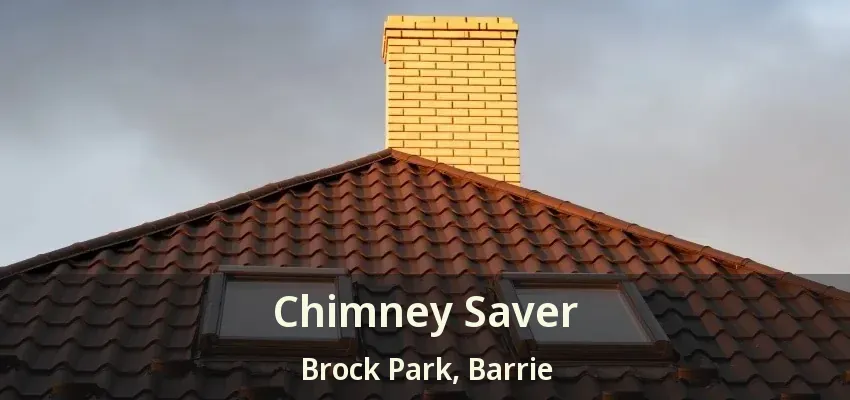 Chimney Saver Brock Park, Barrie - ON