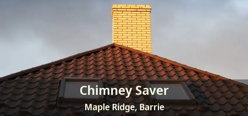 Chimney Saver Maple Ridge, Barrie - ON