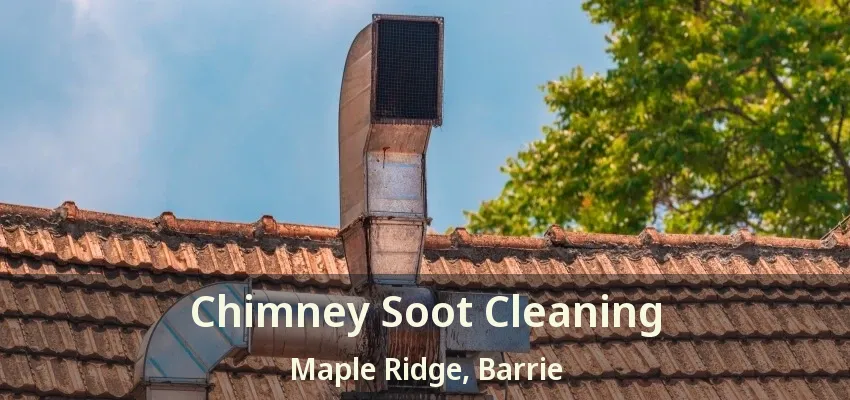 Chimney Soot Cleaning Maple Ridge, Barrie - ON