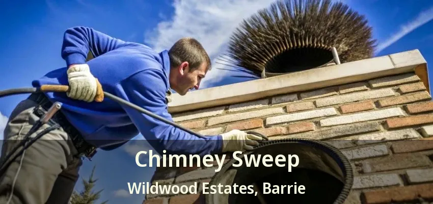 Chimney Sweep Wildwood Estates, Barrie - ON