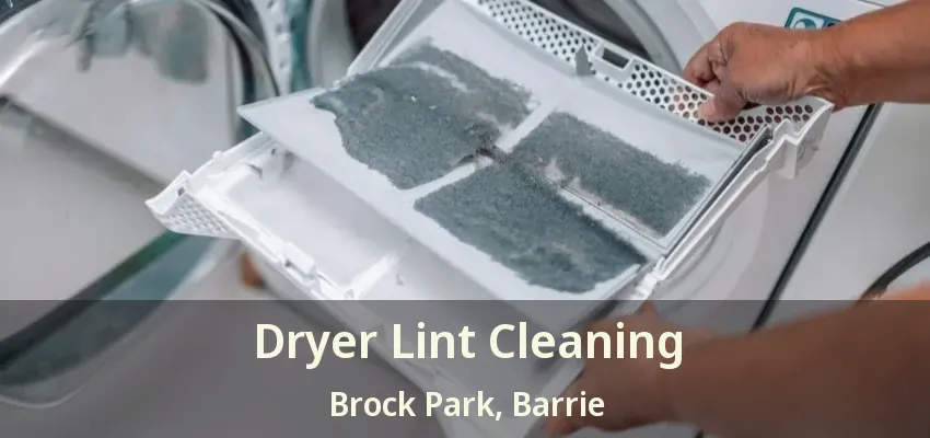 Dryer Lint Cleaning Brock Park, Barrie - ON