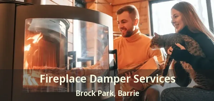 Fireplace Damper Services Brock Park, Barrie - ON