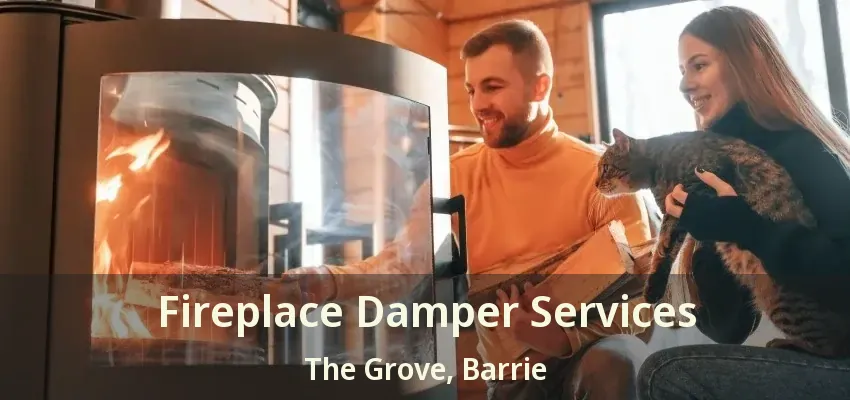 Fireplace Damper Services The Grove, Barrie - ON