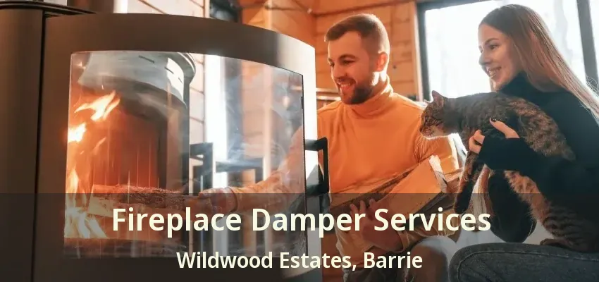 Fireplace Damper Services Wildwood Estates, Barrie - ON