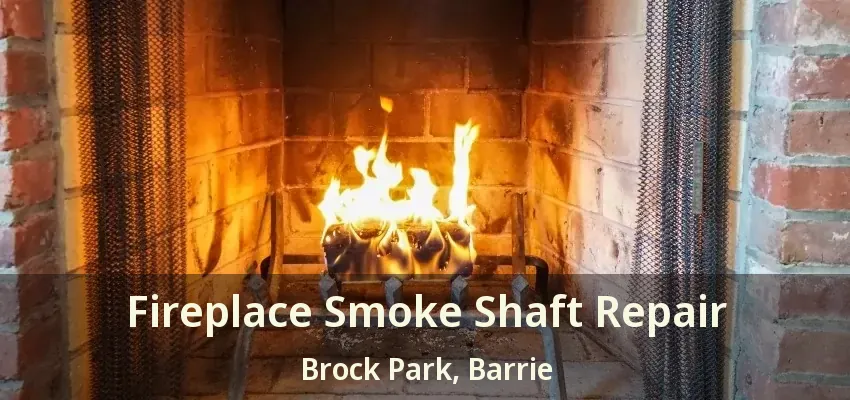 Fireplace Smoke Shaft Repair Brock Park, Barrie - ON