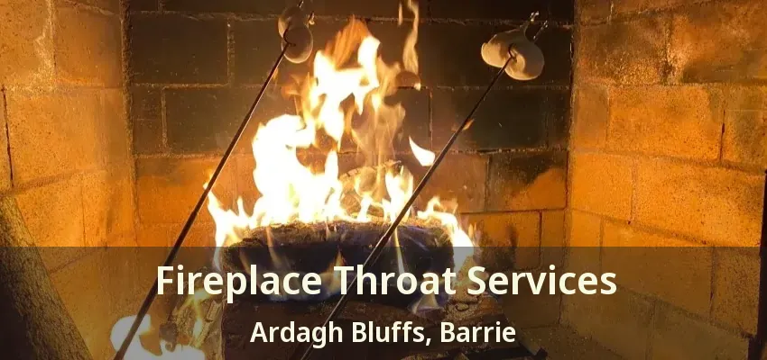 Fireplace Throat Services Ardagh Bluffs, Barrie - ON