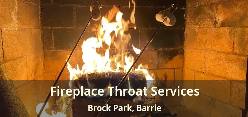 Fireplace Throat Services Brock Park, Barrie - ON