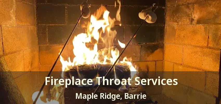 Fireplace Throat Services Maple Ridge, Barrie - ON