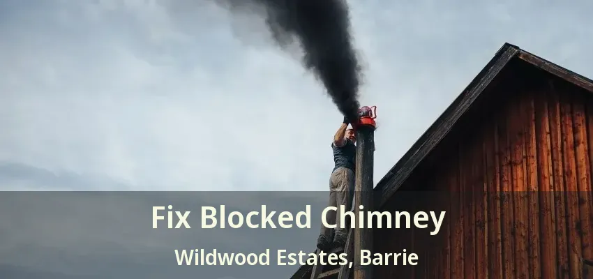 Fix Blocked Chimney Wildwood Estates, Barrie - ON