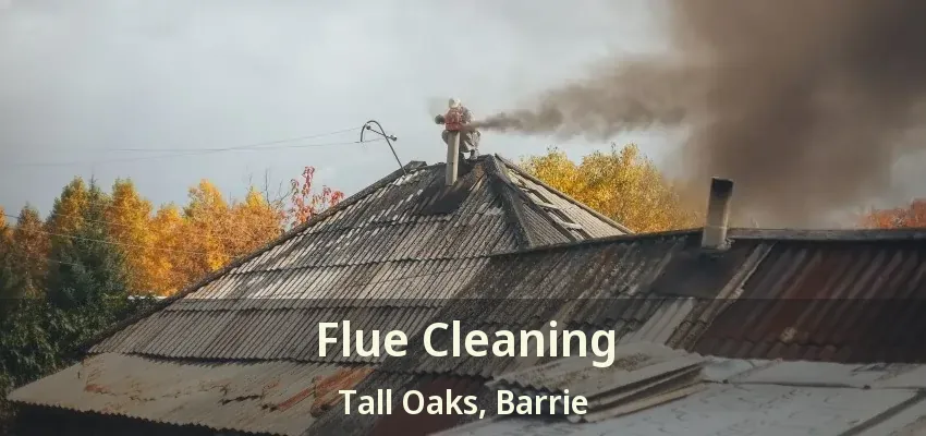 Flue Cleaning Tall Oaks, Barrie - ON