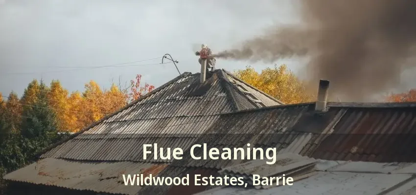 Flue Cleaning Wildwood Estates, Barrie - ON