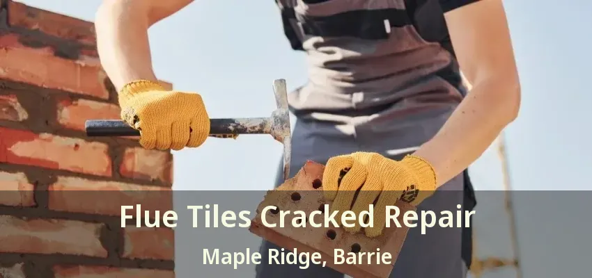 Flue Tiles Cracked Repair Maple Ridge, Barrie - ON