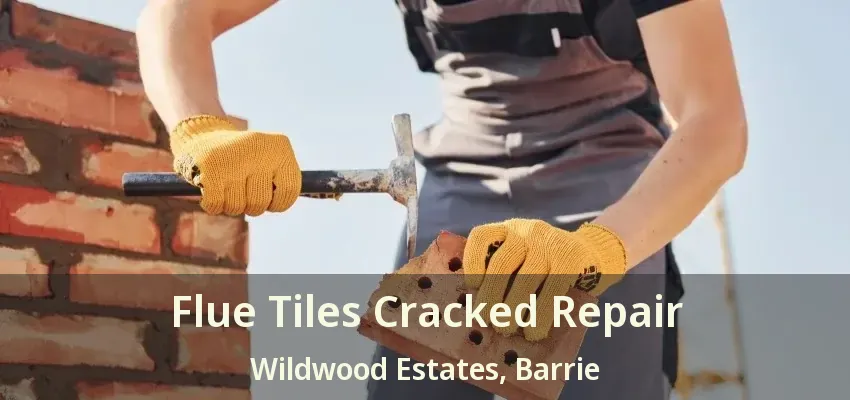 Flue Tiles Cracked Repair Wildwood Estates, Barrie - ON
