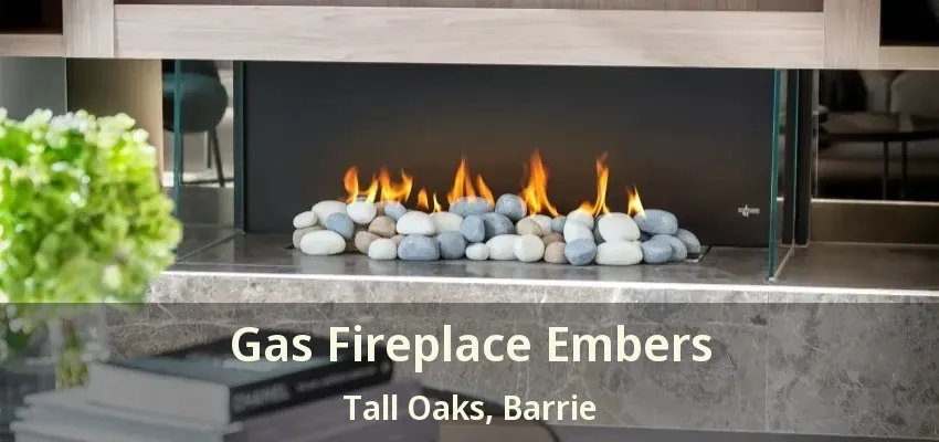 Gas Fireplace Embers Tall Oaks, Barrie - ON