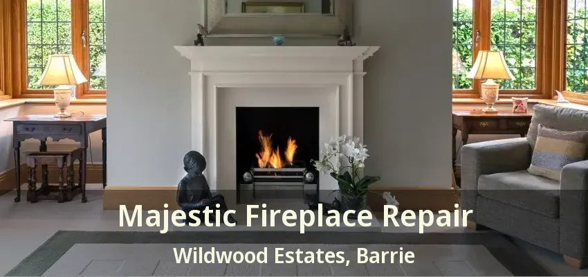Majestic Fireplace Repair Wildwood Estates, Barrie - ON