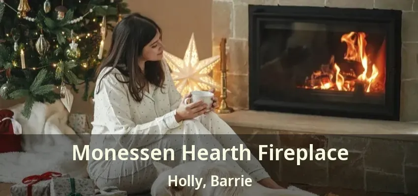 Monessen Hearth Fireplace Holly, Barrie - ON