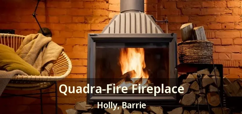 Quadra-Fire Fireplace Holly, Barrie - ON