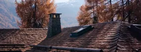 Chimney Animal Removal Barrie
